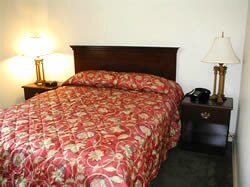 King Bed - Brooklyn Hotel New York